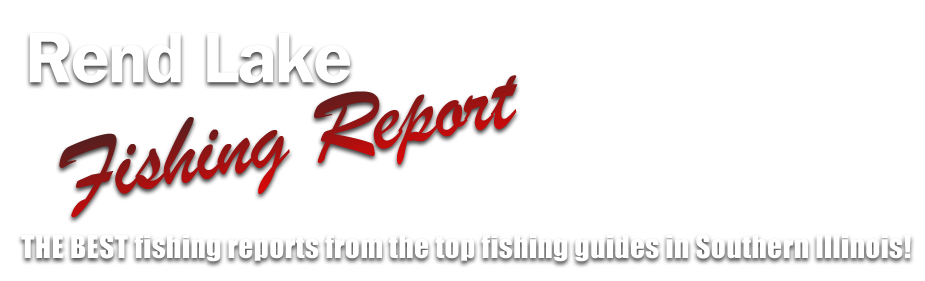 Rend Lake Fishing Report: THE BEST fishing reports from the 
                            top fishing guides in Southern Illinois!